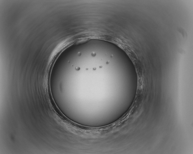 X0000114160004200910151617