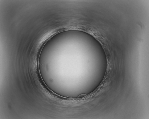 X0000114160005200910151617