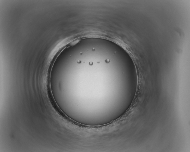 X0000114160007200910151617