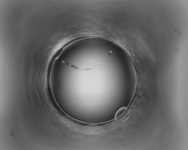 X0000114160008200910151617