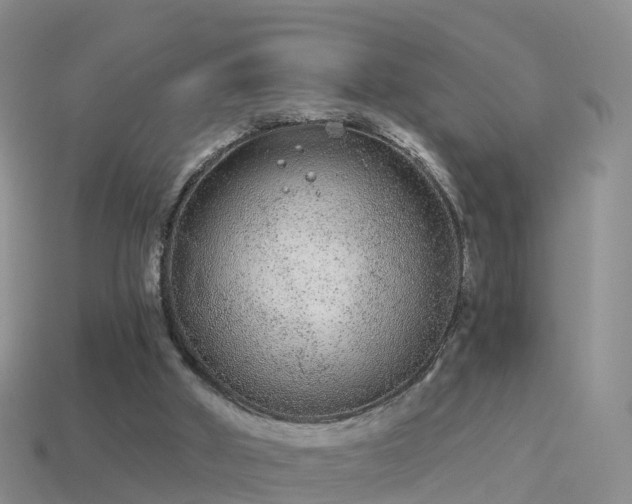 X0000114160010200910151617