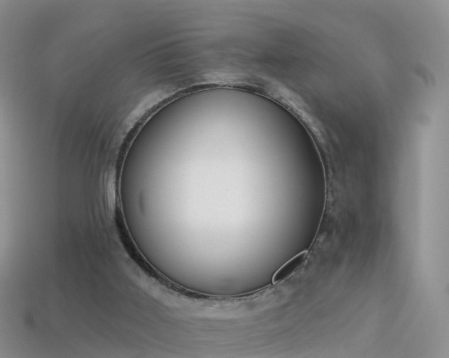 X0000114160011200910151617