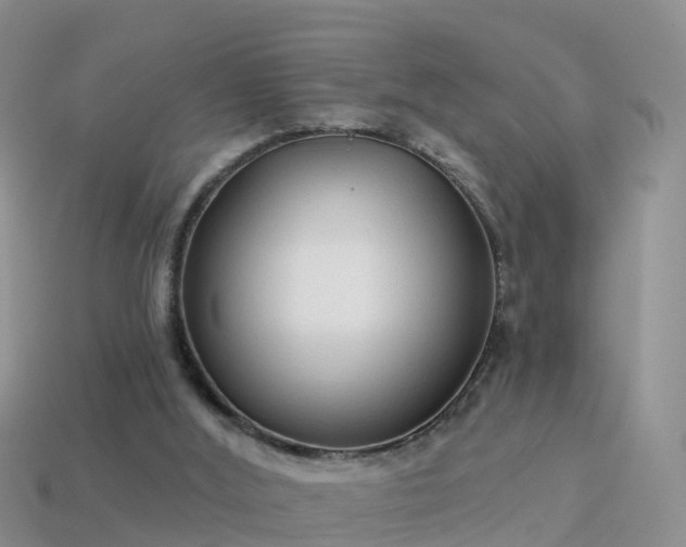 X0000114160012200910151617