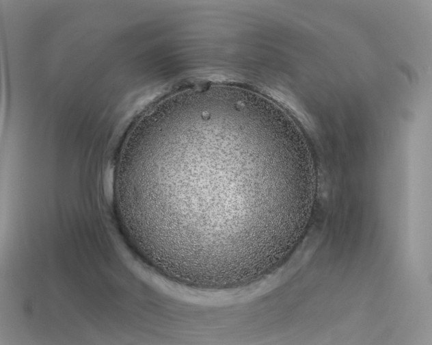 X0000114160014200910151617