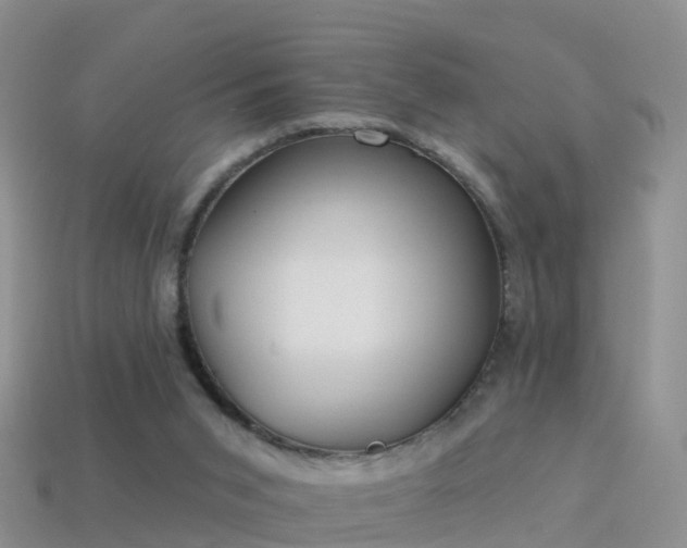 X0000114160015200910151617