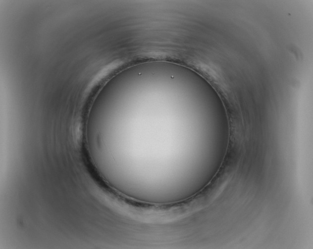 X0000114160016200910151617