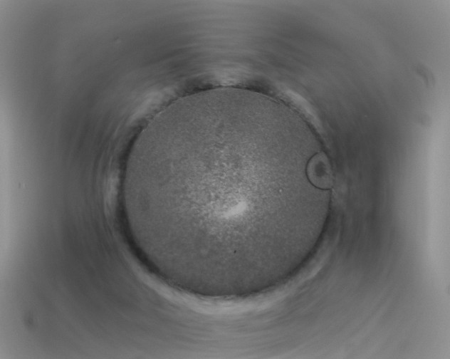 X0000114160018200910151617