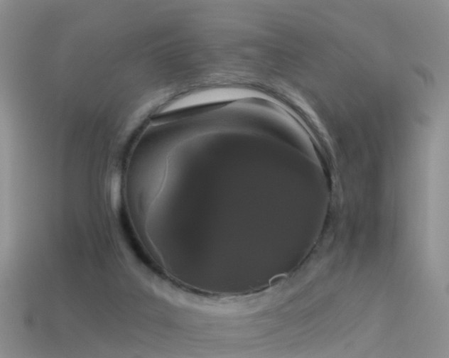 X0000114160019200910151617