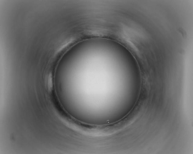 X0000114160020200910151617