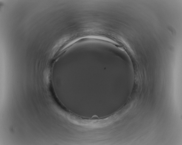 X0000114160023200910151617