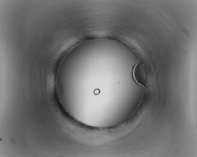 X0000114160024200910151617