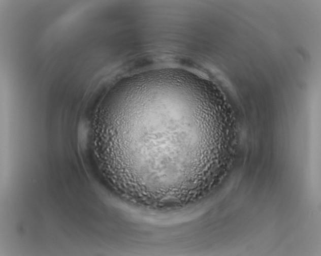 X0000114160026200910151617