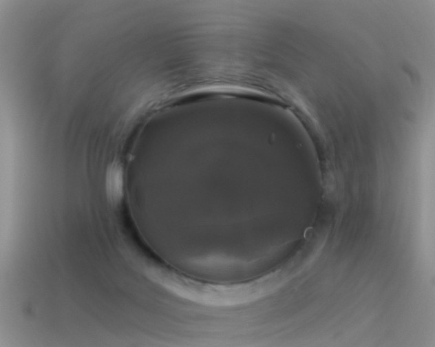 X0000114160027200910151617