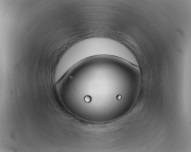 X0000114160029200910151617