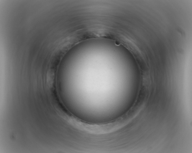 X0000114160030200910151617