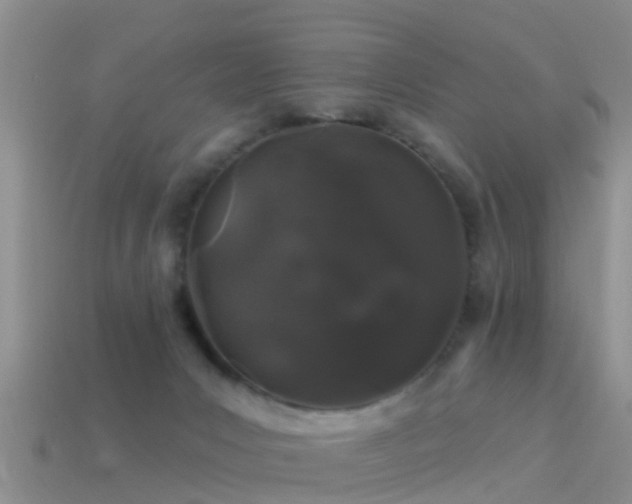 X0000114160031200910151617