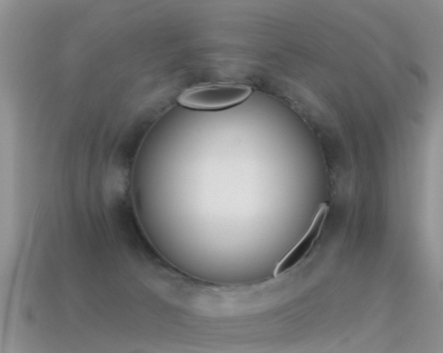 X0000114160033200910151617