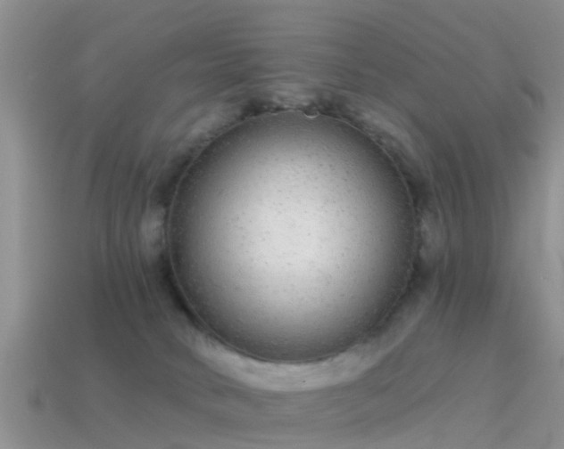 X0000114160034200910151617