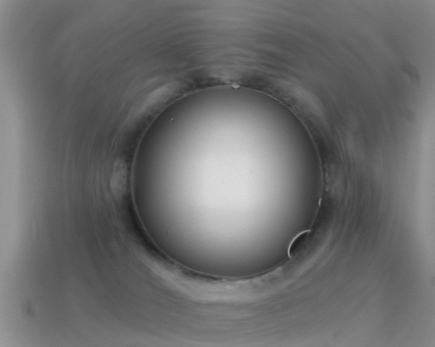 X0000114160036200910151617