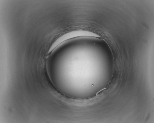 X0000114160037200910151617