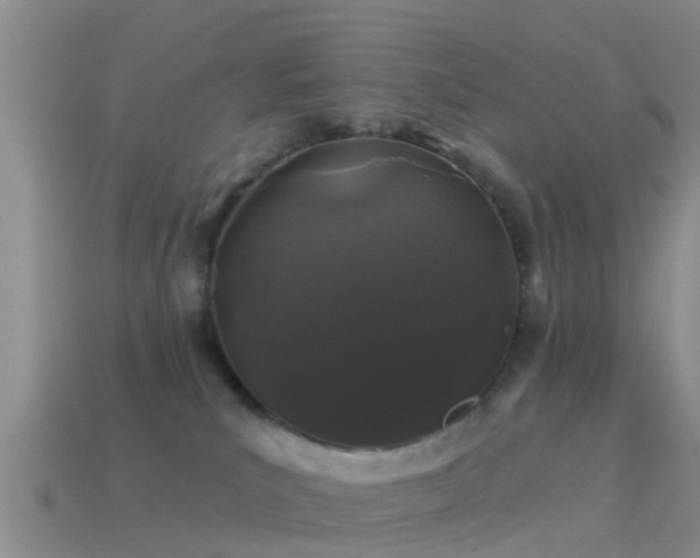 X0000114160039200910151617