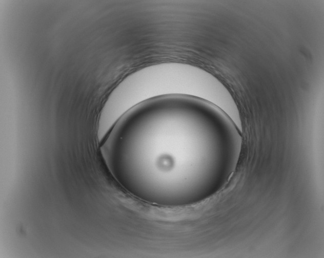 X0000114160041200910151617