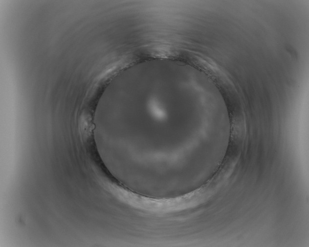 X0000114160043200910151617