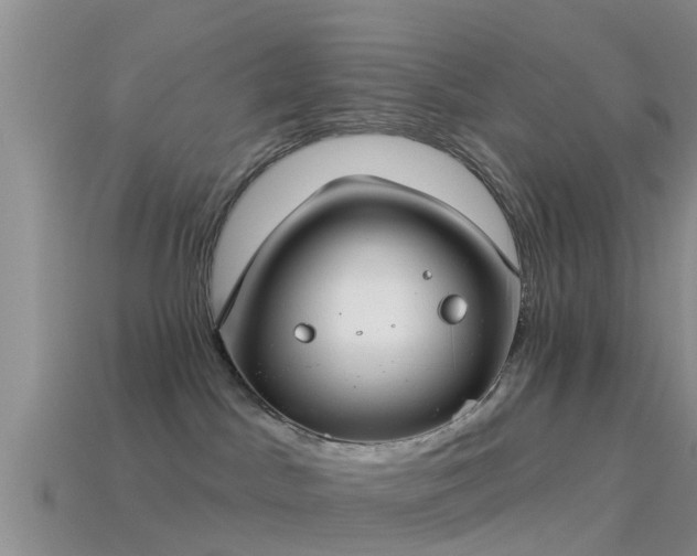 X0000114160045200910151617