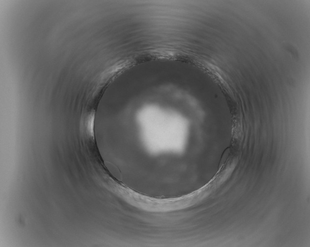 X0000114160047200910151617