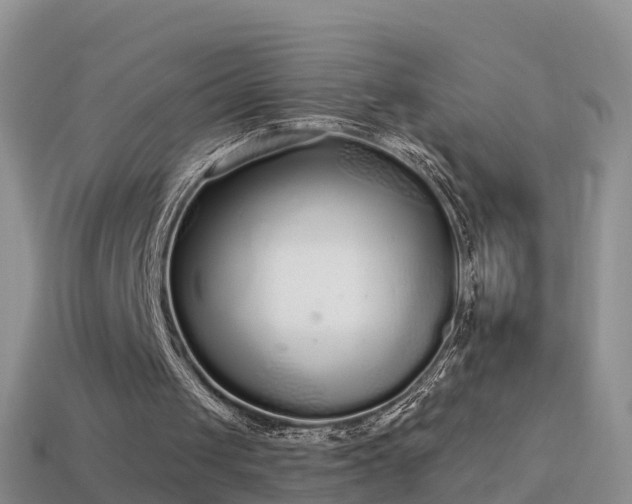 X0000114160049200910151616