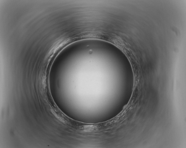 X0000114160050200910151616