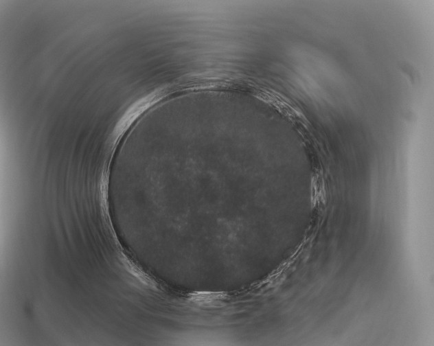 X0000114160051200910151616