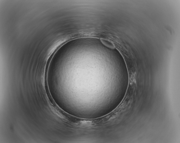 X0000114160052200910151616