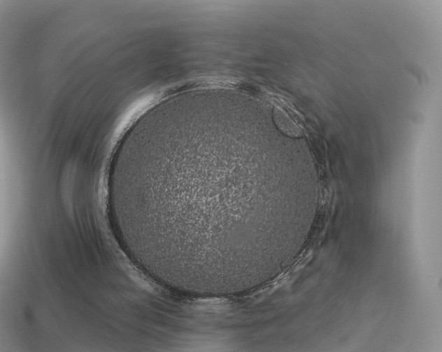 X0000114160053200910151616