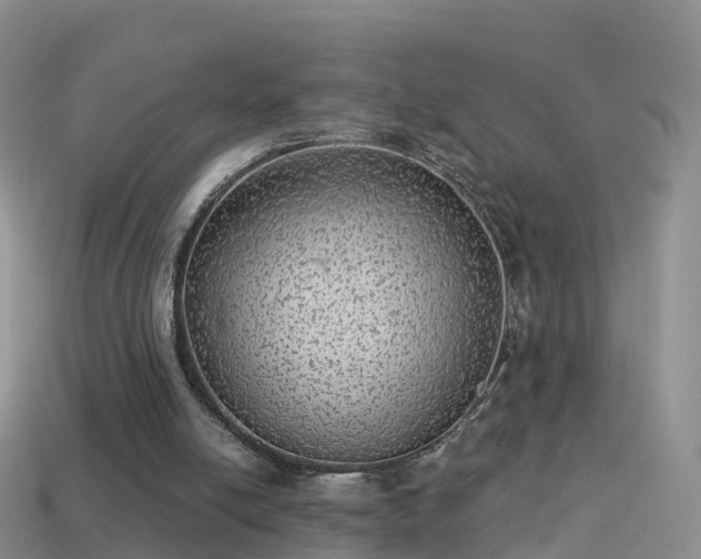 X0000114160054200910151616