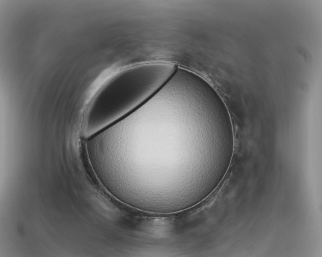 X0000114160056200910151616