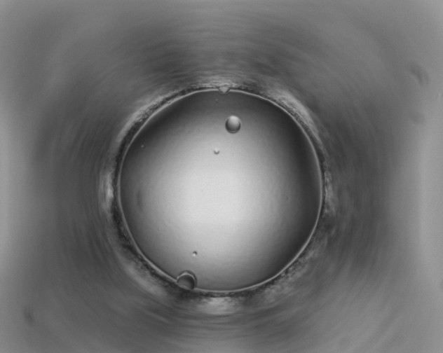 X0000114160059200910151616