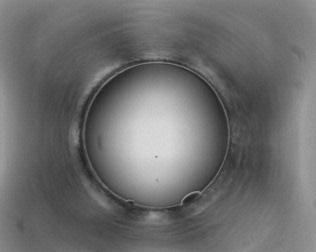 X0000114160060200910151616