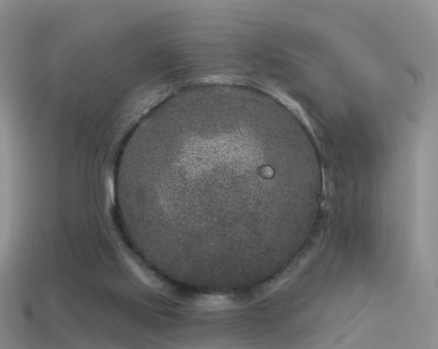 X0000114160061200910151616