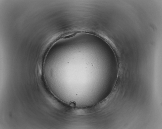 X0000114160062200910151616