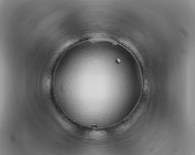 X0000114160063200910151616