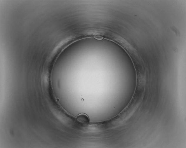 X0000114160064200910151616