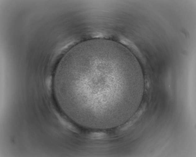 X0000114160066200910151616