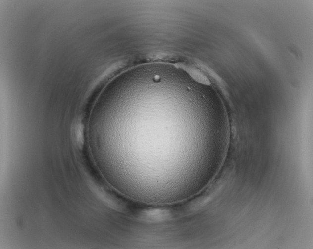 X0000114160067200910151616