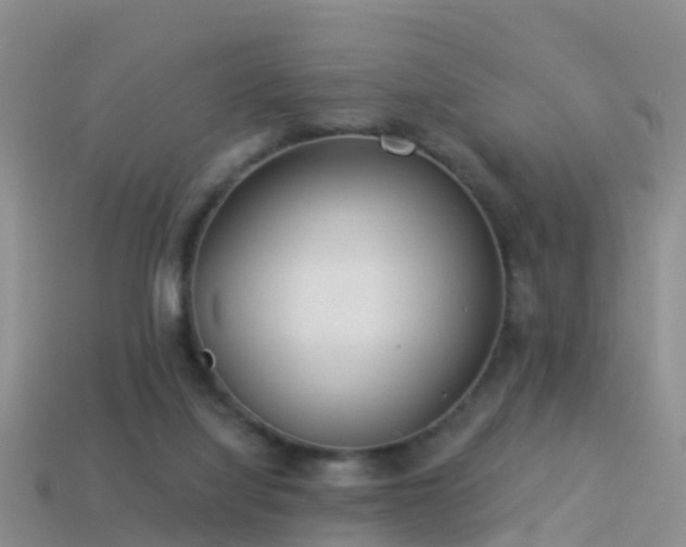 X0000114160068200910151616