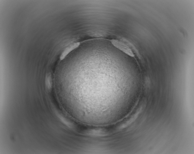 X0000114160069200910151616