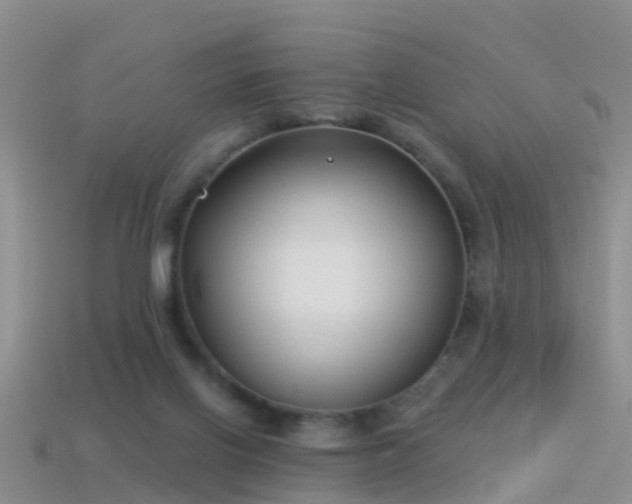 X0000114160070200910151616