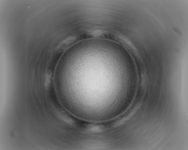 X0000114160073200910151616