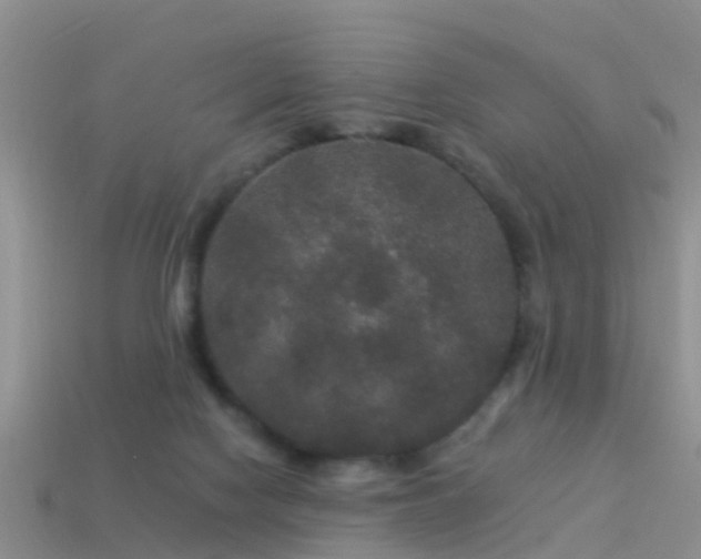 X0000114160074200910151616