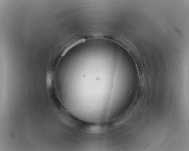 X0000114160075200910151616